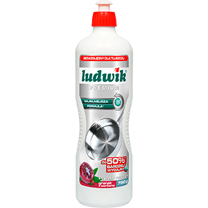 Ludwik PREMIUM – Expert for extremely stubborn stains