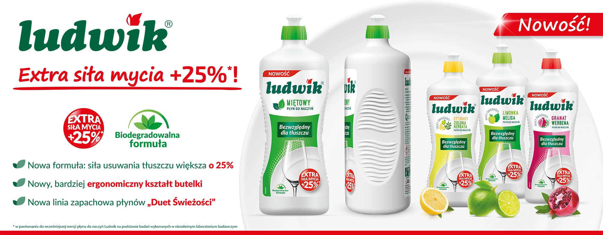 Środki czystości i płyny do mycia naczyń - Ludwik.pl